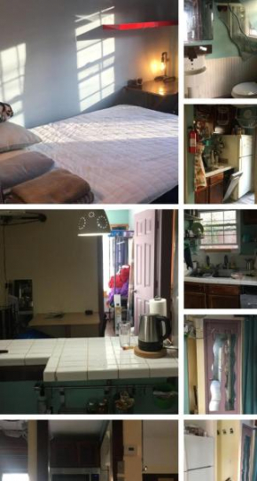 Rock Pad for Yale, Visitors, Nurses, Staff